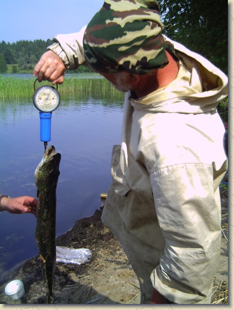 Следующий слайд