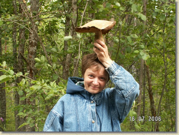 Следующий слайд